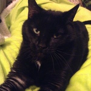 Meet your Posher, Janice